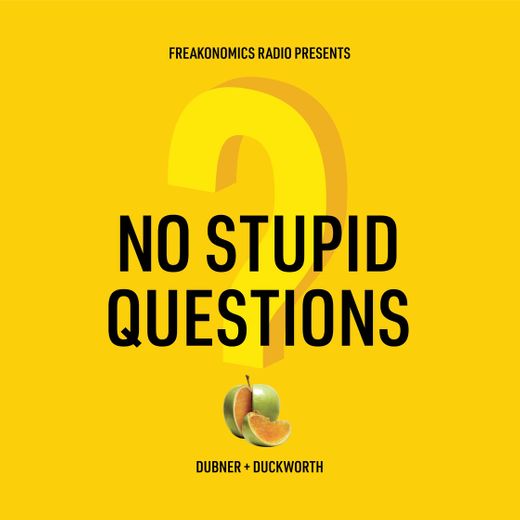 Podcast ‘No Stupid Questions’