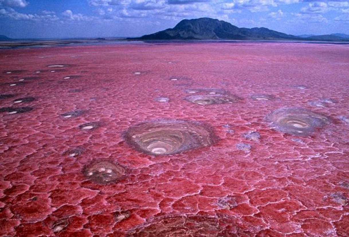 Places Lago Natron