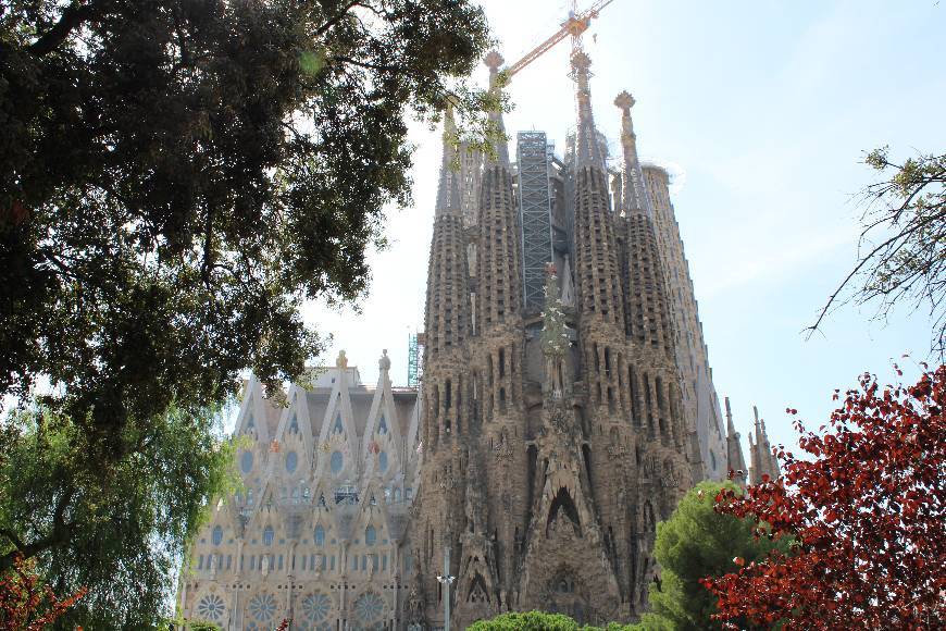 Lugar Basílica Sagrada Familia