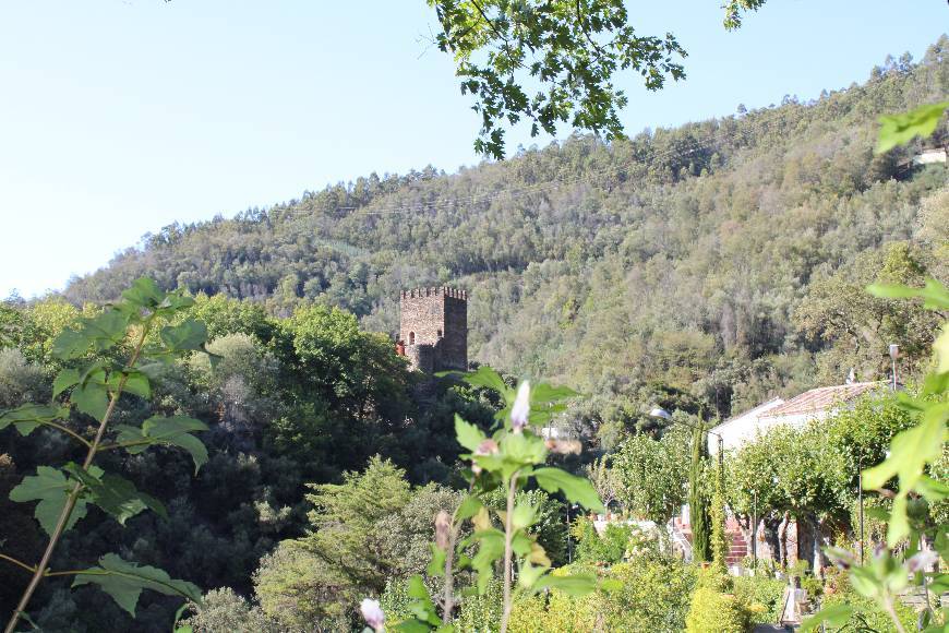 Lugar Castle of Lousa