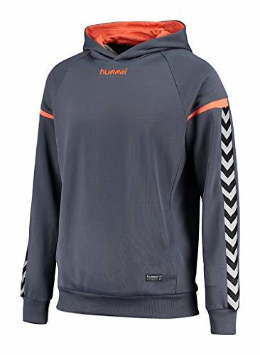 Place hummel Auth. Charge Poly Sudadera, Unisex Adulto, Azul