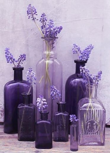 Purple and Decorating Purple Vases