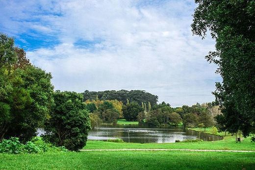 Parque da Cidade