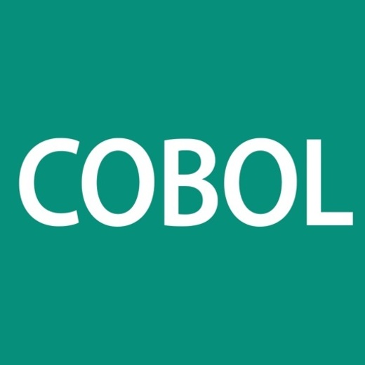 Cobol Programming Language