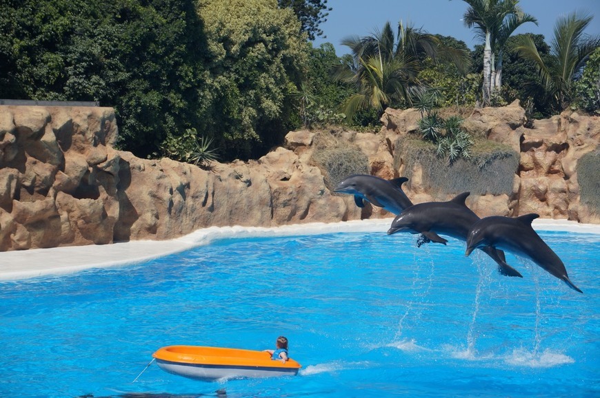 Place Loro Parque