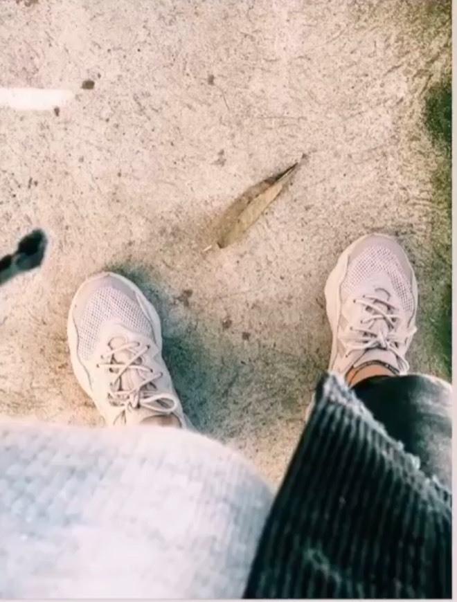 Social Adidas Ozweego