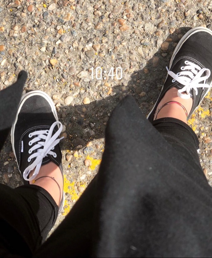 Social Vans Authentic 