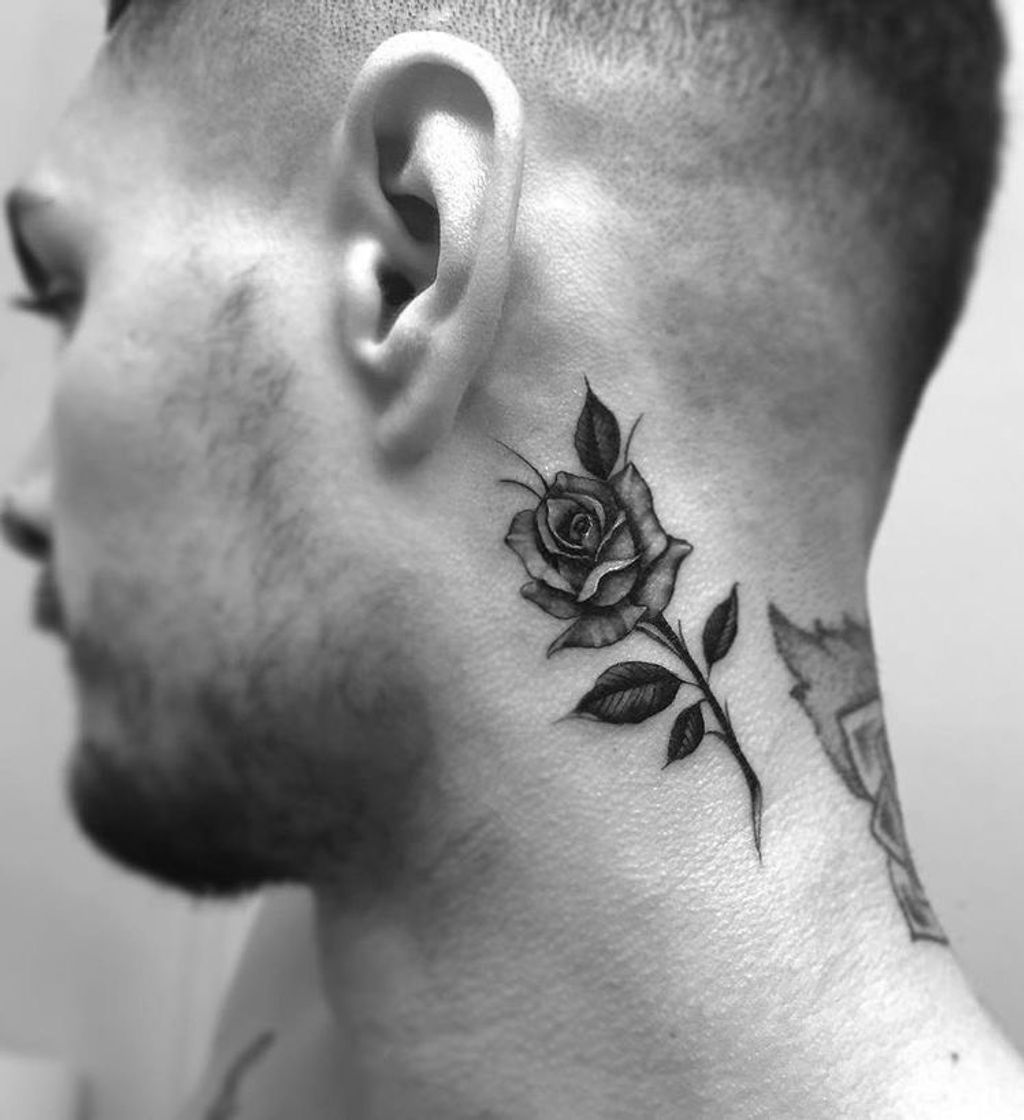 Social Rosa 