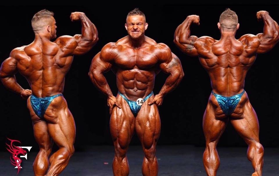 Fashion Flex Lewis