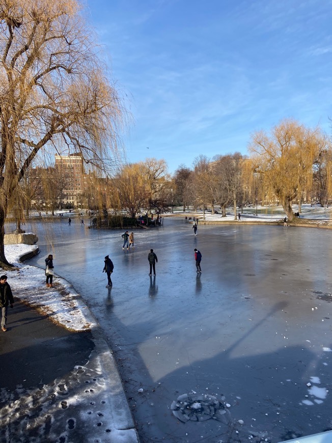 Place Boston Public Garden