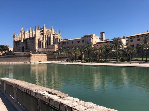 Place Catedral-Basílica de Santa María de Mallorca