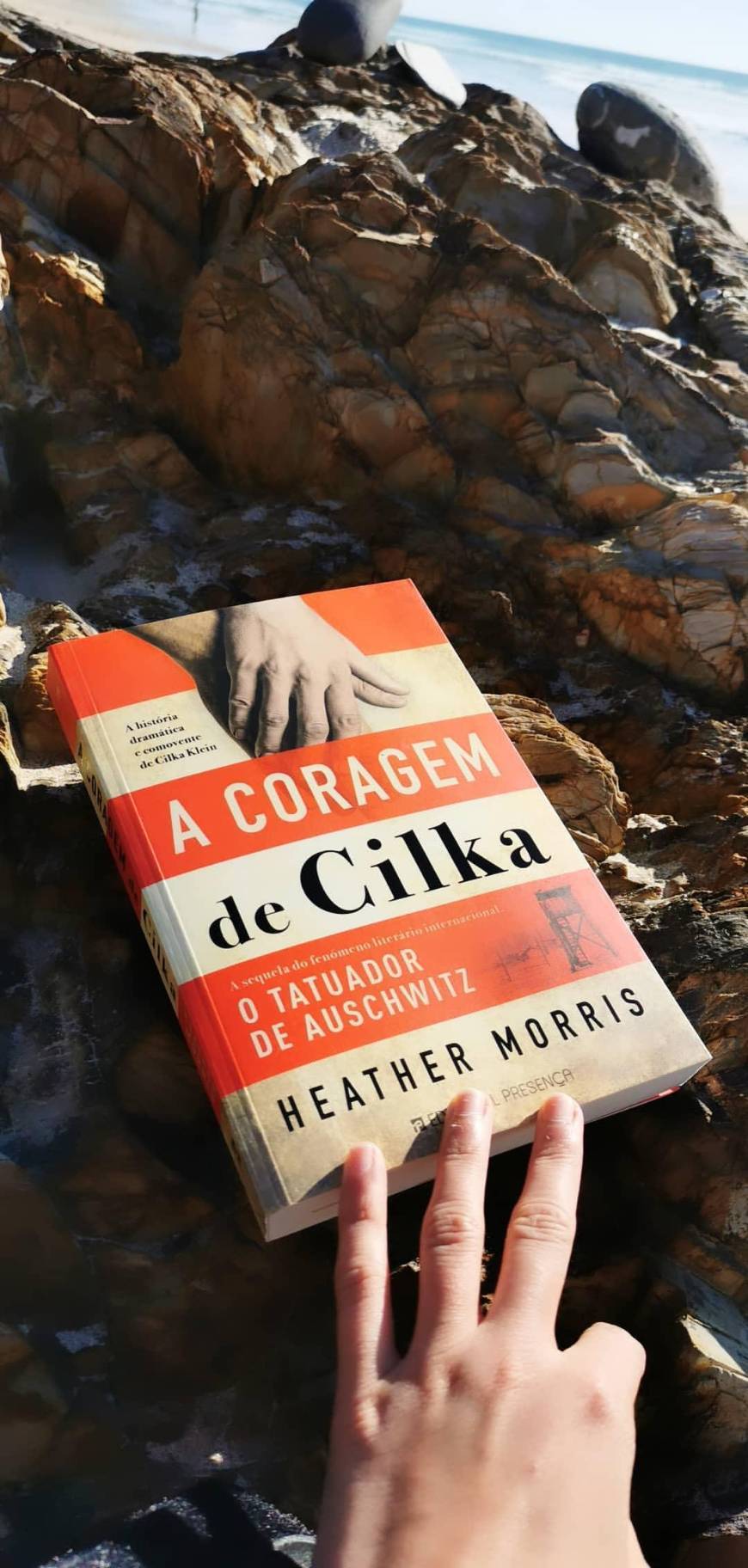 Book A Coragem de Cilka