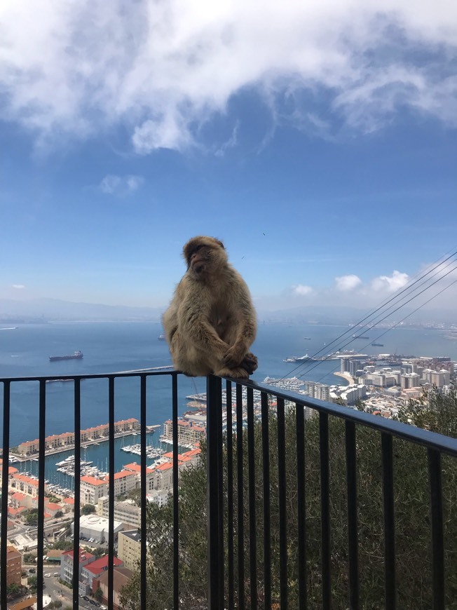 Place Gibraltar