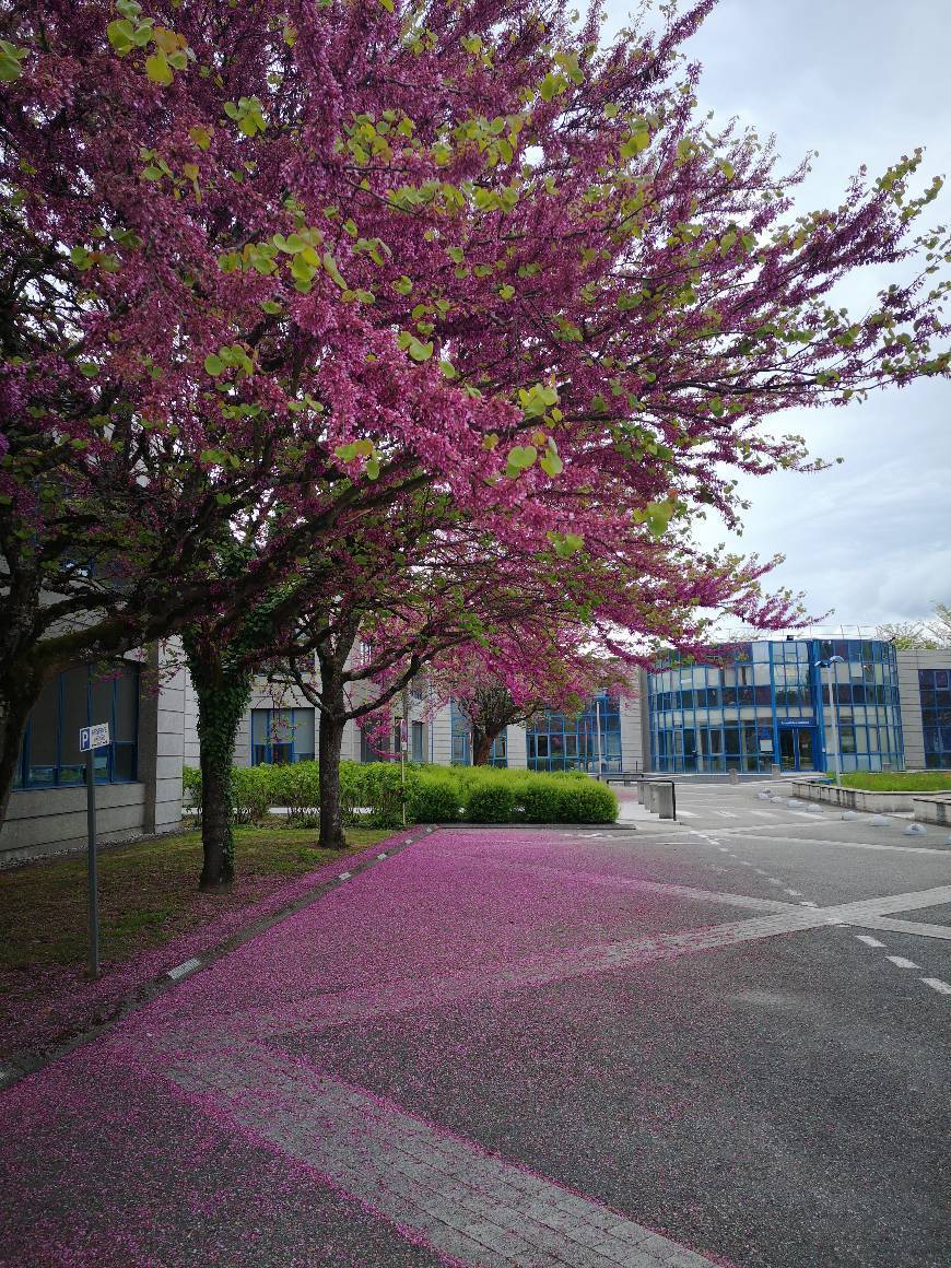 Lugar Le Bourget-du-Lac