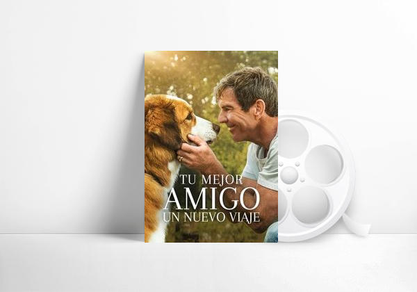 Película Tu mejor amigo: Un nuevo viaje