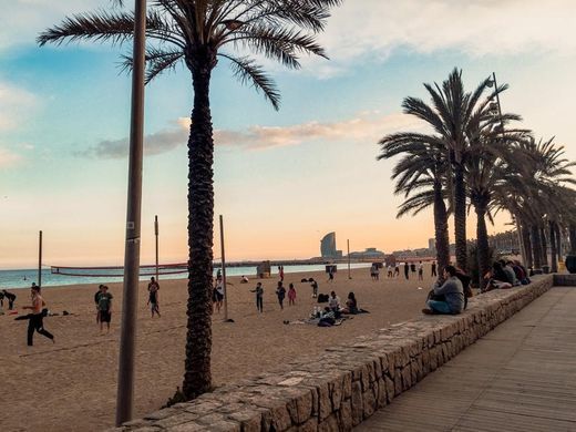 La Barceloneta