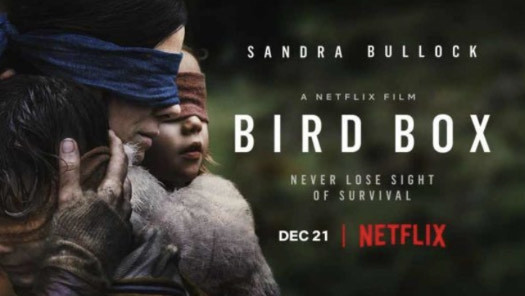 Movies Bird Box 💛🙈