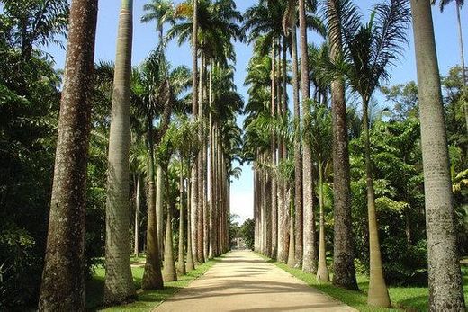 Jardim Botânico