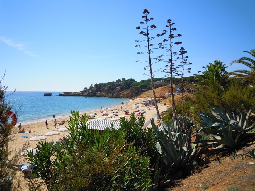 Place Praia Santa Eulália