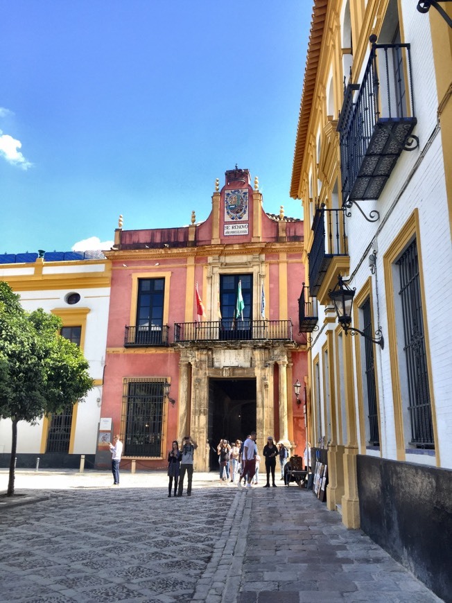 Place Patio de Banderas