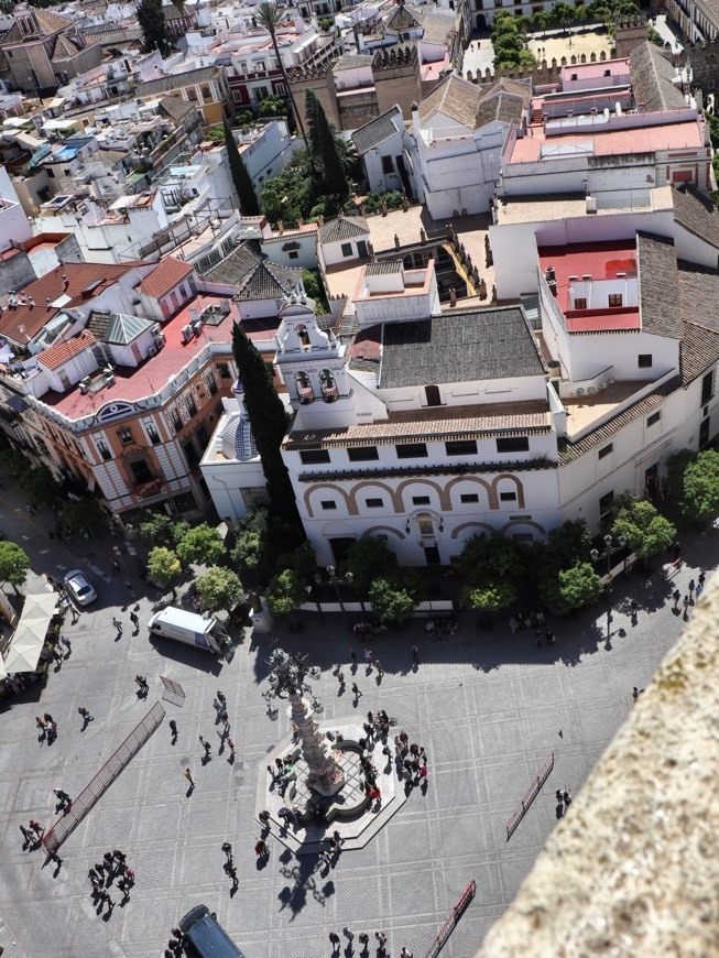 Place Virgen De Los Reyes