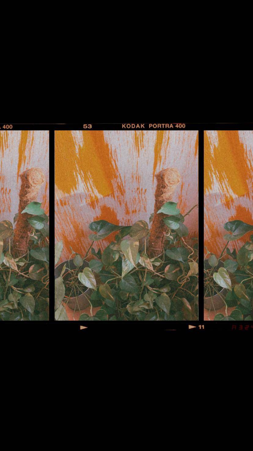 Social Wallpapers ✨ 