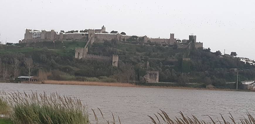 Place Castelo de Montemor-o-velho