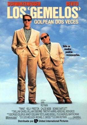 Movie Los gemelos golpean dos veces