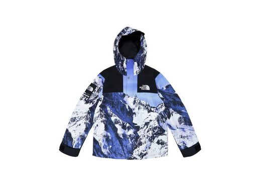 Supreme The North Face Arc Logo Mountain Parka Red