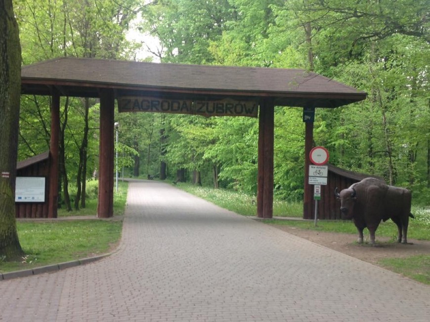 Lugar Zagroda Żubrów