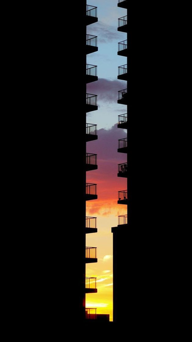 Social Fondo