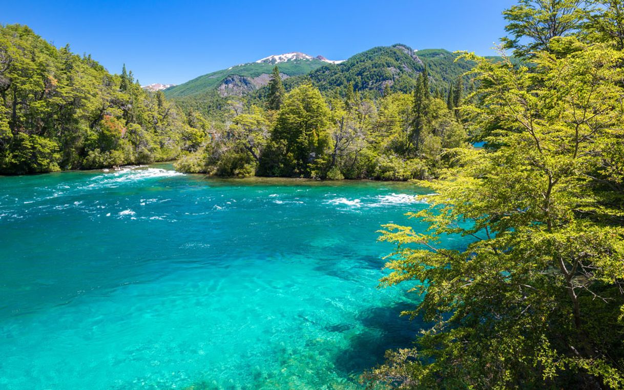 Lugar Parque Nacional Los Alerces