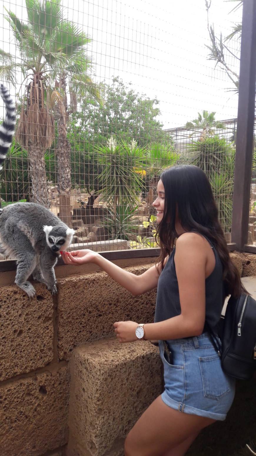 Places Zoo Tenerife Monkey Park