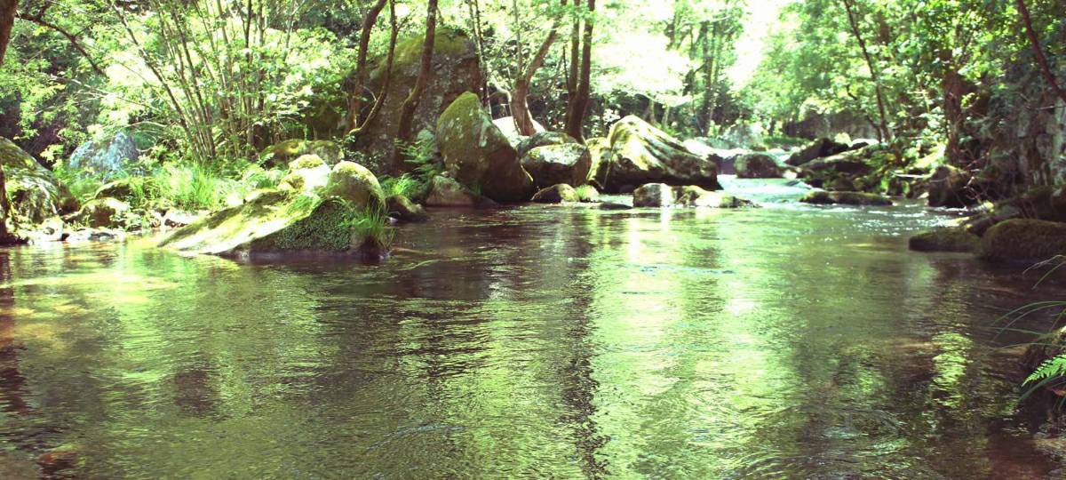 Lugar Río Bestança