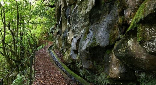 PR14 Levada dos Cedros