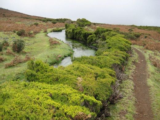 Lagos da Madeira