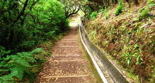 Levada da Serra do Faial - Camacha