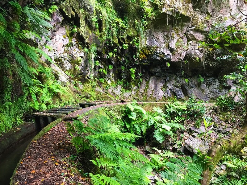 Place Levada da Ribeira da Janela
