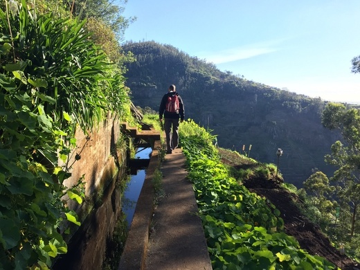 Levada dos Tornos