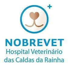 Hospital Veterinário 