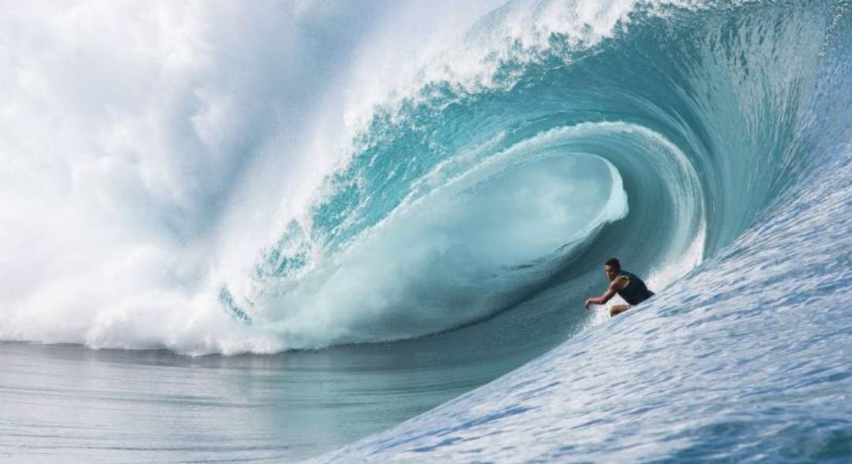 Social Surf
