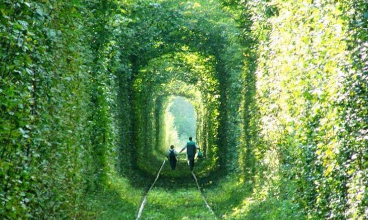 Social Túnel do Amor