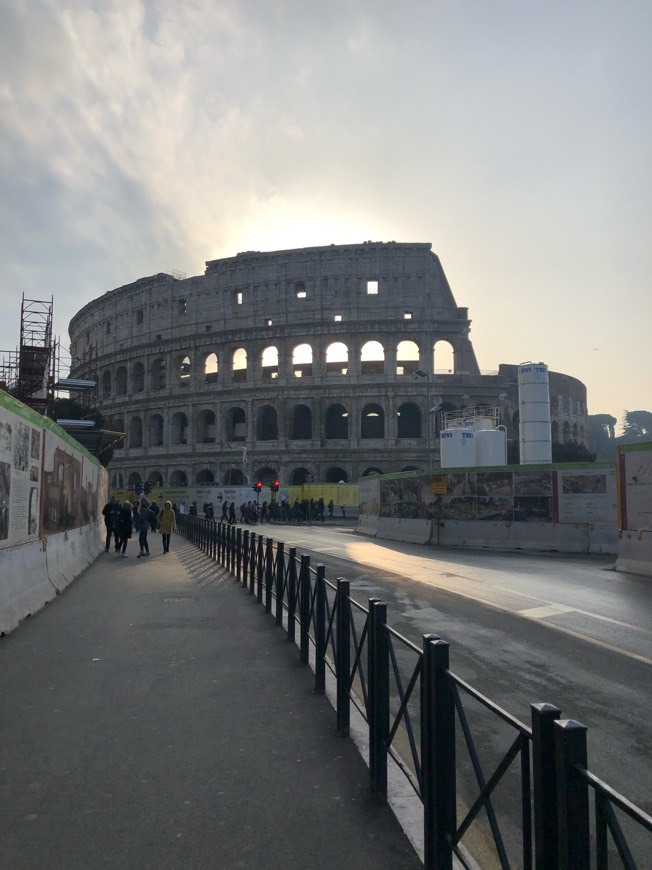 Lugar Coliseo de Roma