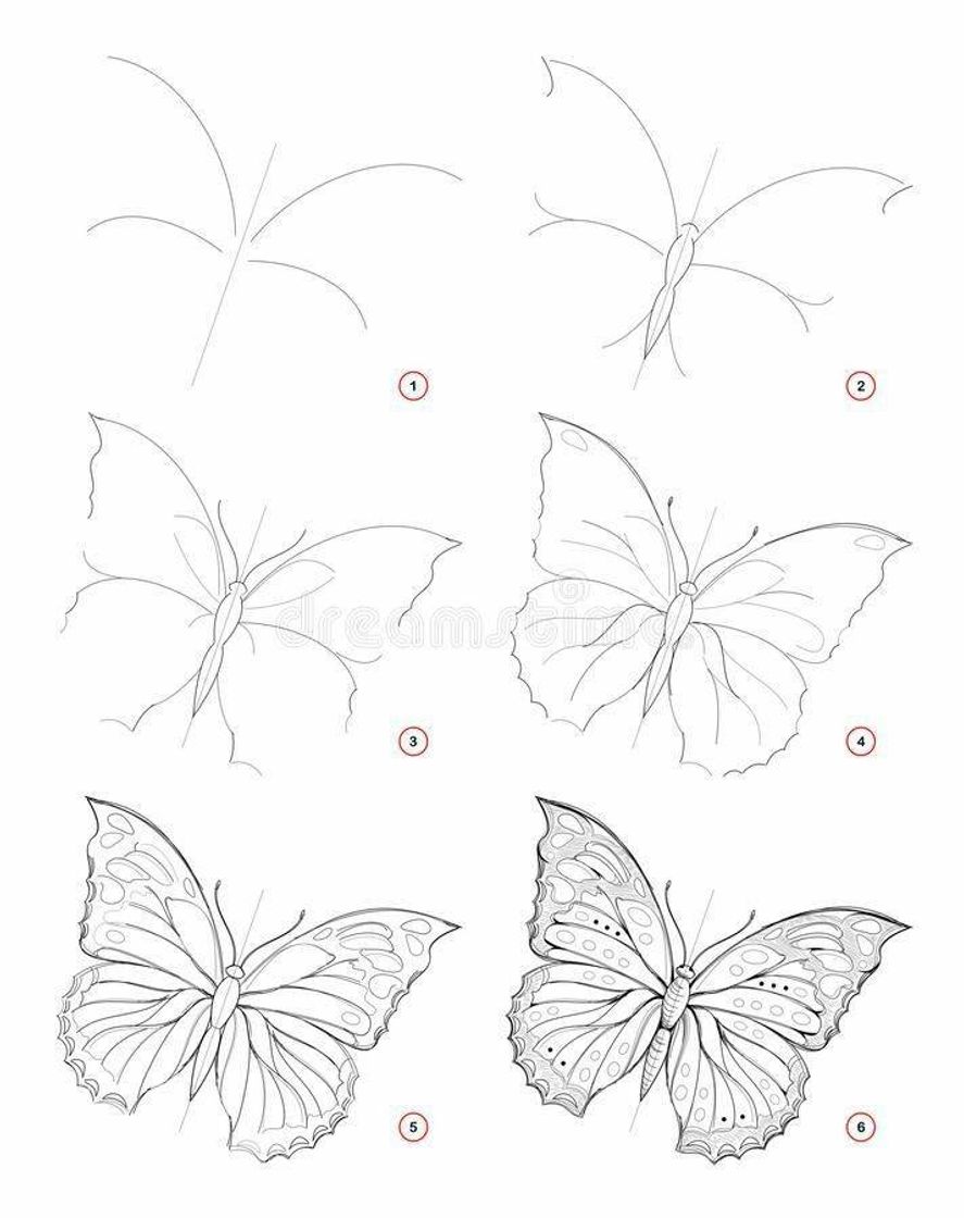 Moda Desenho borboleta