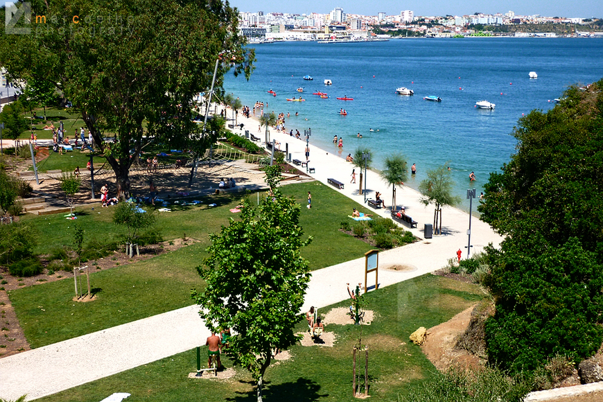 Place Parque Urbano de Albarquel