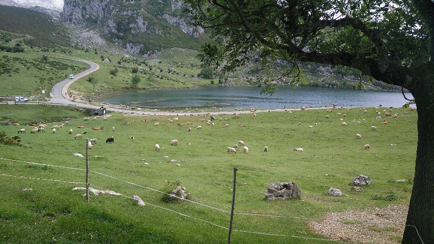 Place Lake Enol