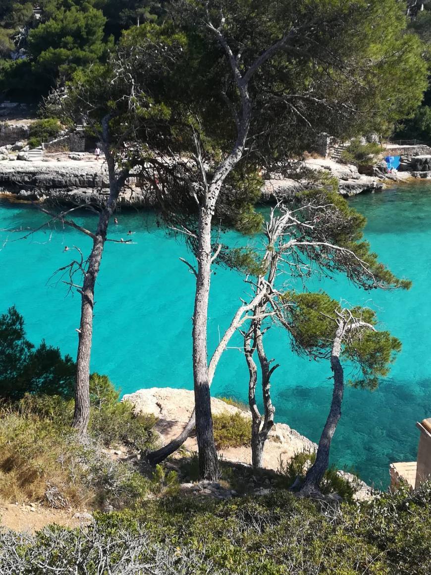 Lugar Mallorca