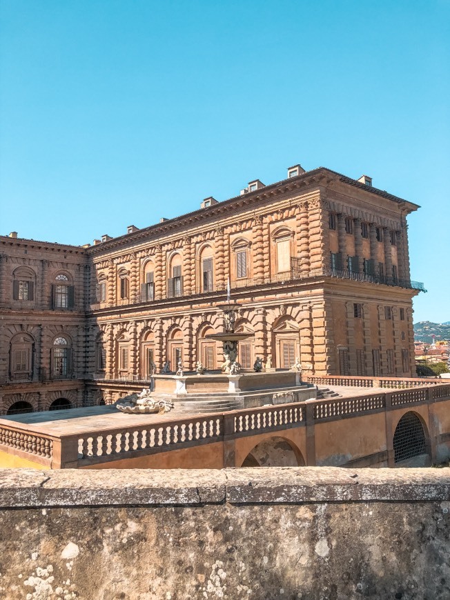 Place Palazzo Pitti