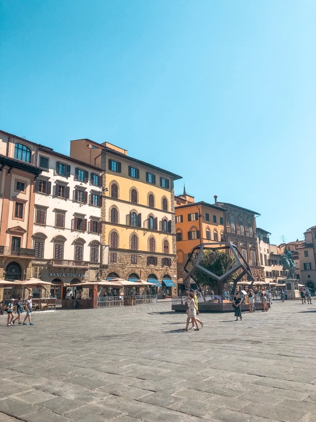 Place Piazza della Signoria