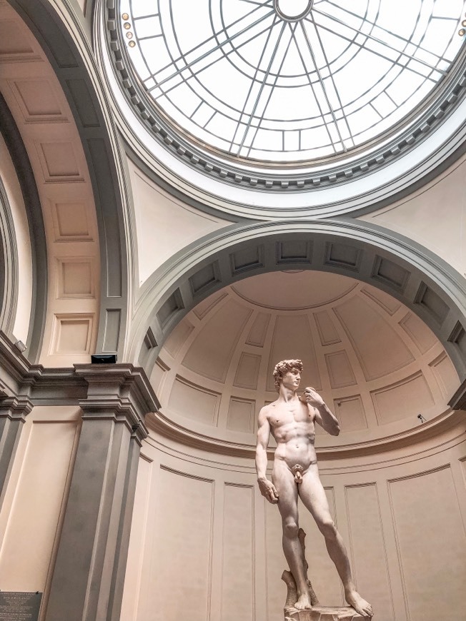 Place Galleria dell'Accademia di Firenze